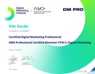 dmi-certified-digital-marketing-professional